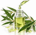 Tea Tree Oil