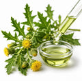 Wartweed Extract